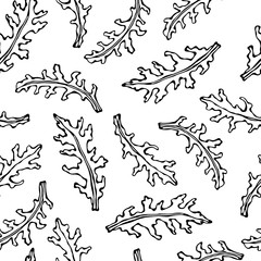 Seamless Endless Pattern of Arugula, Rucola, Rocket Salad Fresh Green Leaves. Aromatic Herb. Fresh Cooking Salad Ingredient. Hand Drawn Illustration. Savoyar Doodle Style.