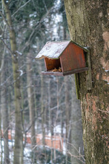Wooden bird feeder in the forest