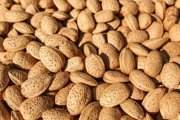 almonds on a baking sheet