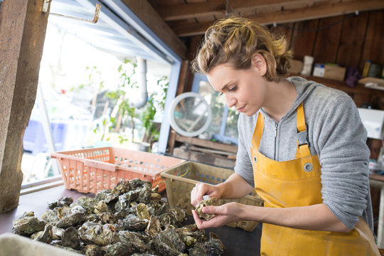 Woman Selling Fresh Oysters At Farmers Food Market