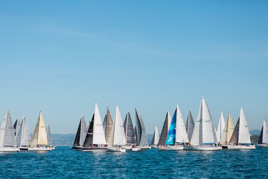 Sailboat in an international yacht race on open water