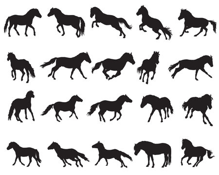 Set of isolated horses silhouettes-3