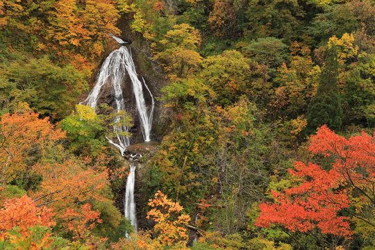 日本风景 Images – Browse 95 Stock Photos, Vectors, and Video