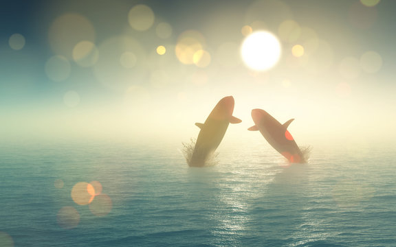 3D whales jumping out of the sea