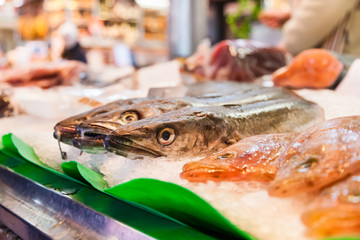 FISH ON A MARKET STAND