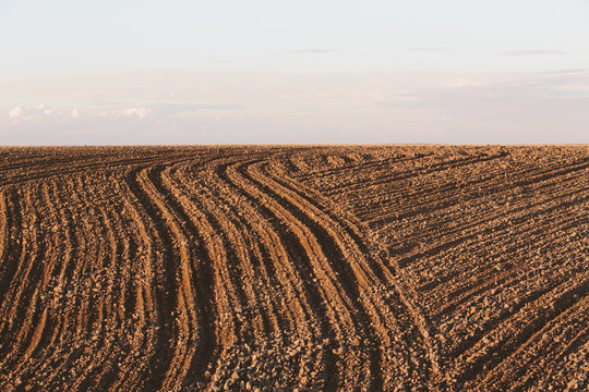 Freshly tilled and planted field of summer wheat, dusk