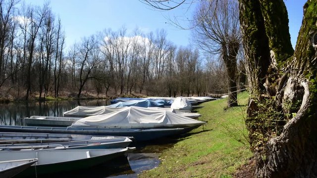 tipiche barche da fiume attraccate alla riva con lucertole che escono al primo tepore del sole