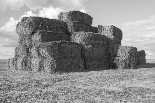 Pile of stacked hay bales on farmland