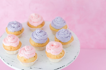 Cupcakes with pink and violet buttercream standing on pastel pink background.
