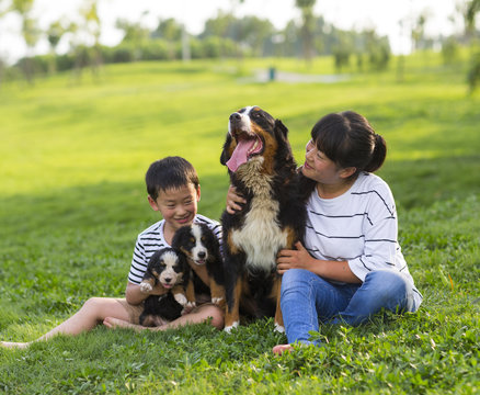 little asian boy holding his puppy sitting with his mother on th