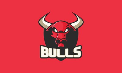 Bulls Logo