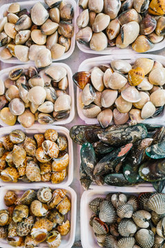 Seafood in containers