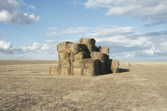 Pile of stacked hay bales on farmland