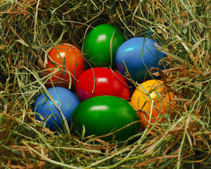 Bunte Ostereier im Nest aus Heu (Osternest)