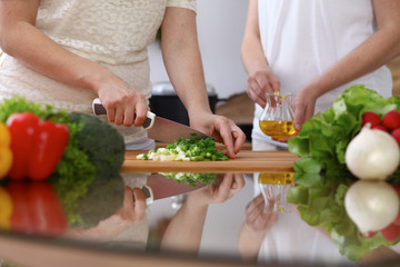 Closeup of human hands cooking in kitchen. Mother and daughter or two female cutting green onion for salad. Healthy meal, vegetarian food and lifestyle concepts