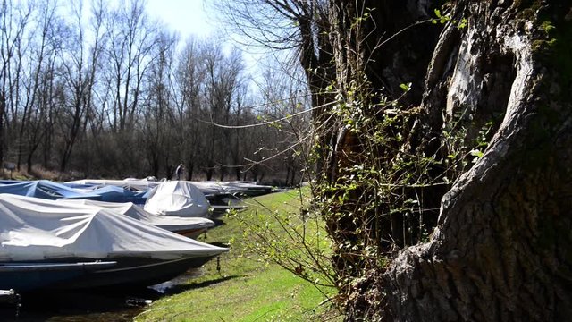 tipiche barche da fiume attraccate alla riva con lucertole che escono al primo tepore del sole