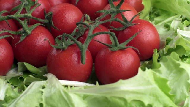 Fresh vegetables.Washed cherry tomato with letuce