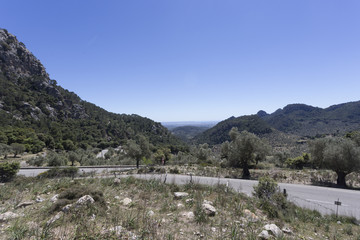Cyclists on a mountain road in Mallorca