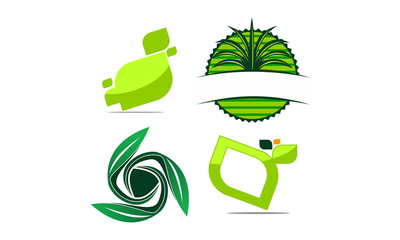 Leaf Template Vector Set