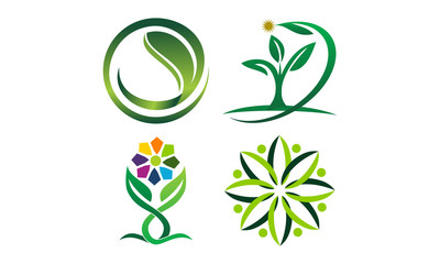 Leaf Template Vector Set