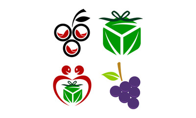 Fruit Leaf Template Set