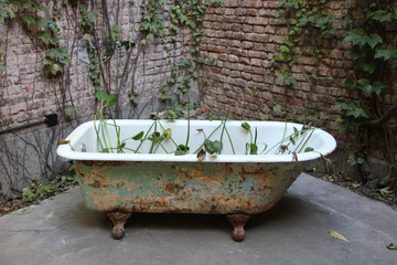 Outdoor Bathtub