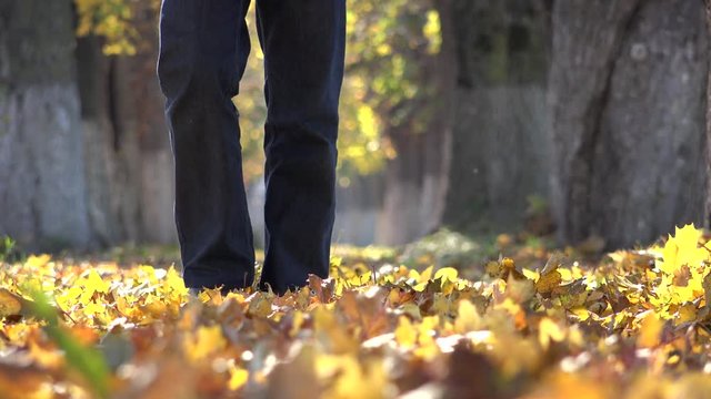 Lonely man walk in the park, feet step on fallen yellow leaves of autumn