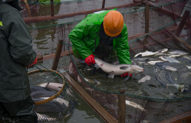 The workers in the fishing ground were wearing waterproof clothes and fishing in the river.