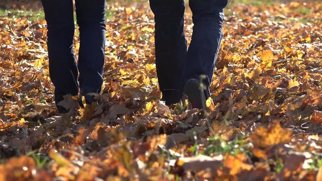 Couple of lovers feet walking on fallen autumn leafs, romantic stroll