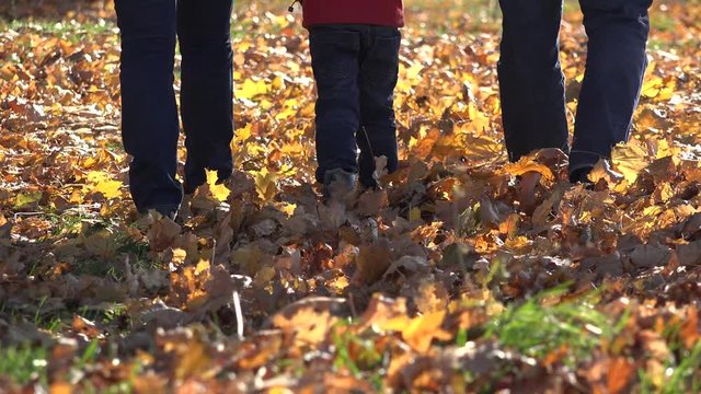 Family feet, parents and child feet, walking on fallen autumn leaves