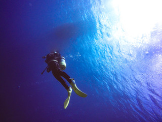 Obraz na płótnie Canvas okinawa diving