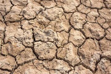 Broken ground image, drought.