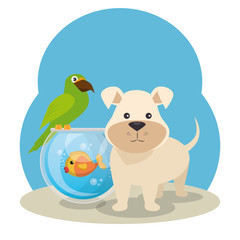 cute mascots pet shop icons