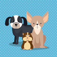 cute mascots pet shop icons