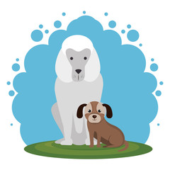 cute dogs in the park scene