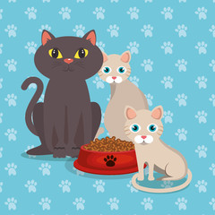 cute cats with food