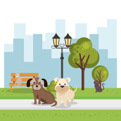 Obraz na płótnie Canvas cute dogs in the park scene
