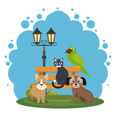 Obraz na płótnie Canvas cute mascots pet shop icons