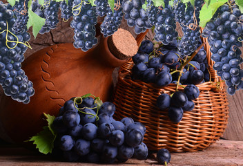 Excellent Georgian wine