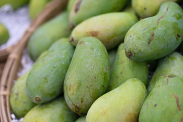 fresh Green mango fruits at a market store