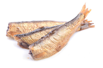 Sprats on white background