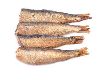 Sprats on white background