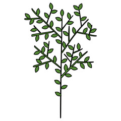 tree branch with leafs