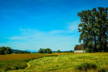 Nisqually National Wildlife Refuge, Washington State, USA