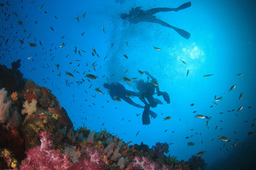 Fototapety na wymiar - Fototapeta24.pl