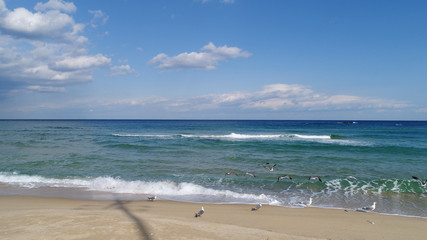 Sea of the East of Korea.