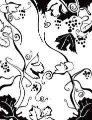 Illustration of a beautiful tangle of vine branches with leaves and grapes. Vineyard background with motifs.