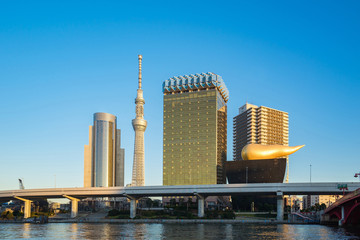 Fototapeta na wymiar Tokyo city skyline with landmark near Asakusa area in Tokyo, Japan
