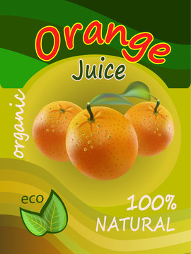 Vector illustration of juice of oranges packaging design. Realistic vector.