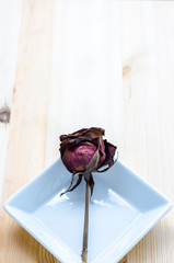 Dry rose signifies lost love, bad valentine, broken heart